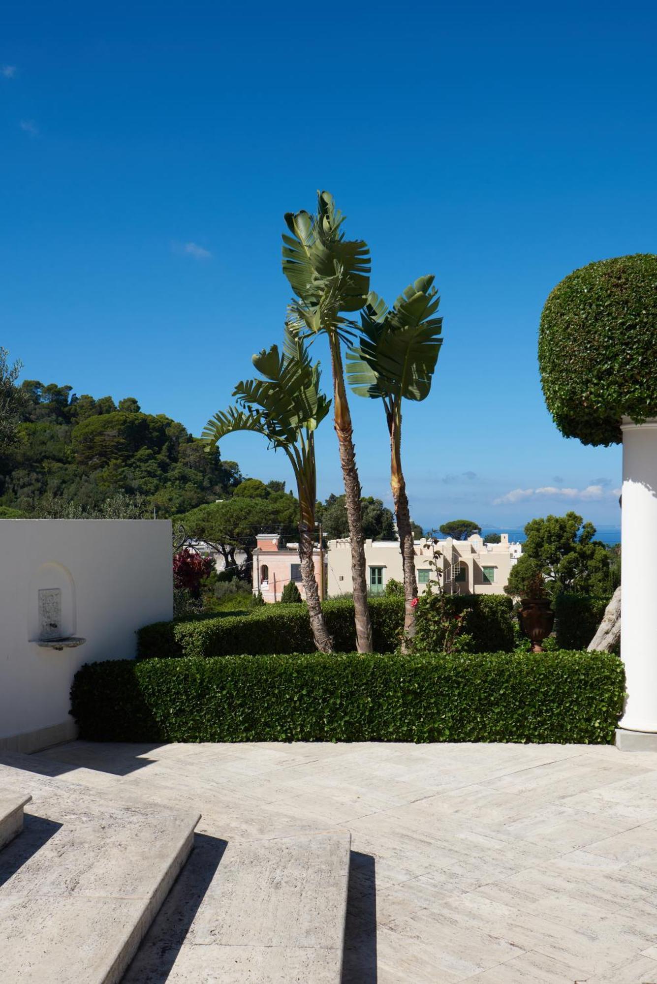 La Casa Dei Merli กาปรี ภายนอก รูปภาพ