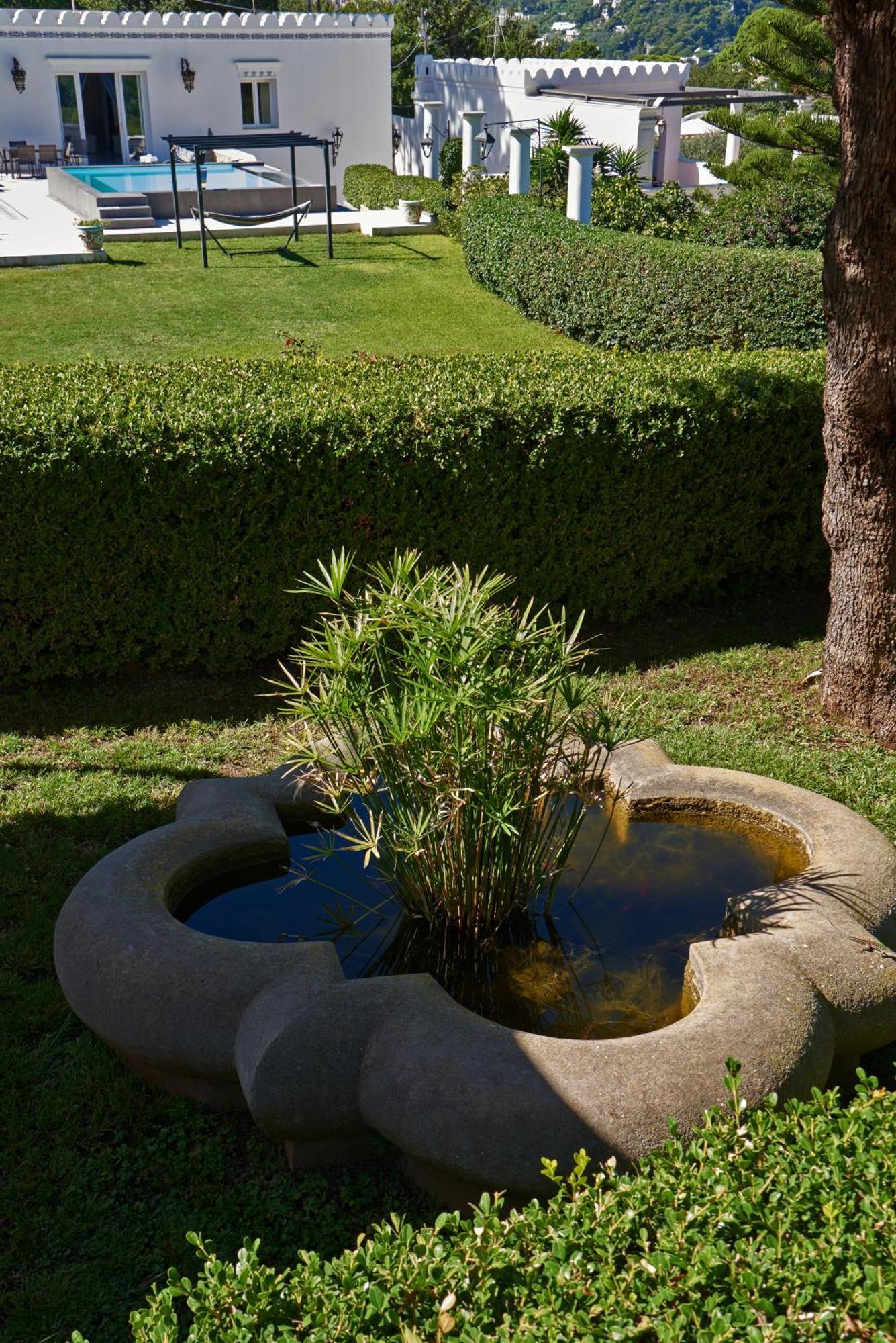 La Casa Dei Merli กาปรี ภายนอก รูปภาพ