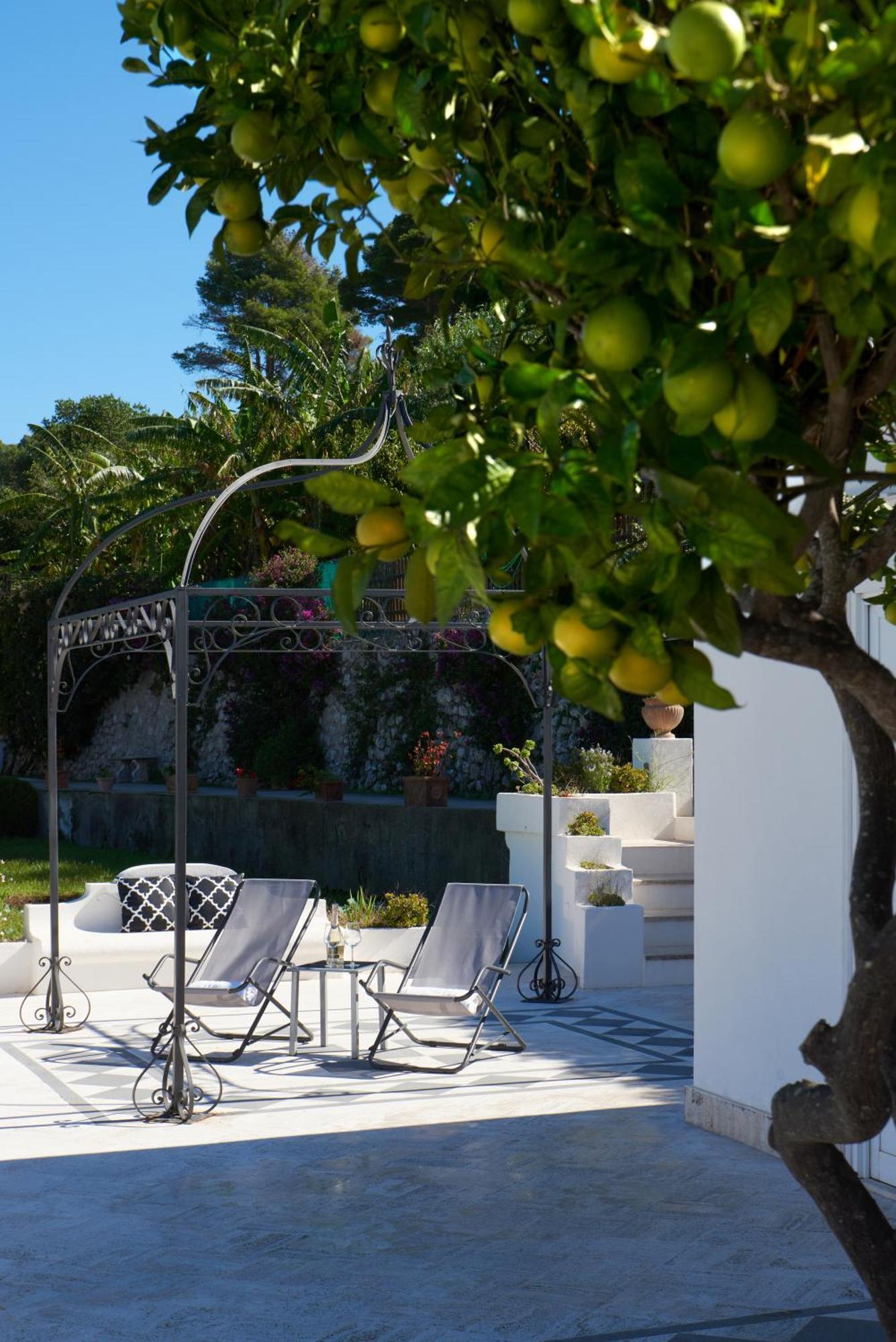 La Casa Dei Merli กาปรี ภายนอก รูปภาพ