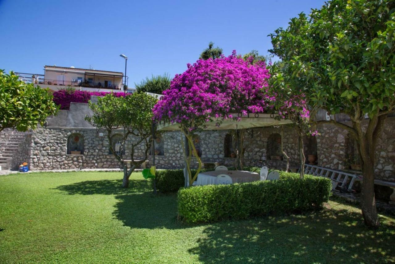 La Casa Dei Merli กาปรี ภายนอก รูปภาพ